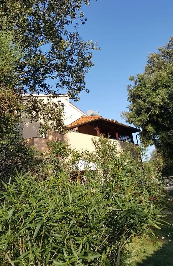 Apartment Simona - Extra Comfort With Large Terrace And Jacuzzi Barbariga 0*,